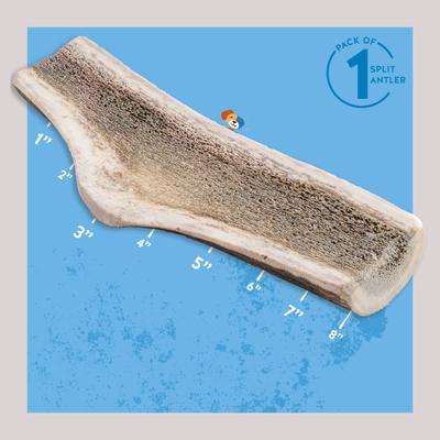 Show full view: Jack & Pup Large Split Elk Antler Thick Dog Chew Treats, 8-in slide 3 of 7