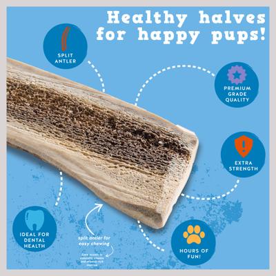 Show full view: Jack & Pup Large Split Elk Antler Thick Dog Chew Treats, 8-in slide 5 of 7