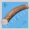 Show in main carousel: Jack & Pup Large Whole Elk Antler Extra Thick Dog Chew, 8-in slide 3 of 8