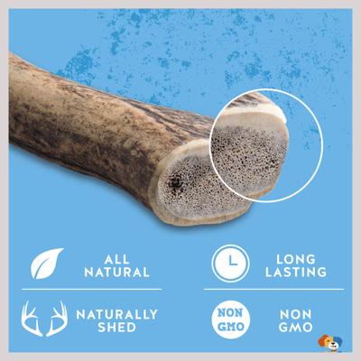 Show full view: Jack & Pup Large Whole Elk Antler Extra Thick Dog Chew, 8-in slide 4 of 8