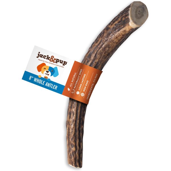 Jack & Pup Large Whole Elk Antler Extra Thick Dog Chew, 8-in
