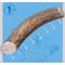 Show in main carousel: Jack & Pup Large Whole Elk Antler Thick Dog Chew Treats, 8-in slide 3 of 7