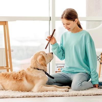 Show full view: Jack & Pup Long Lasting 6-inch Beef Collagen Stick Dog Chews, 4 count slide 8 of 10