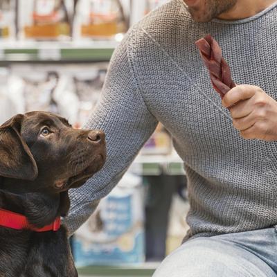 Show full view: Jack & Pup Long Lasting 6-inch Braided Beef Collagen Stick Dog Chews slide 8 of 11