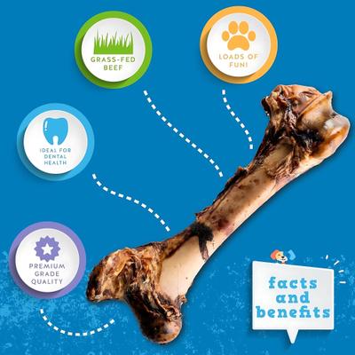 Show full view: Jack & Pup Mammoth Femur Bone Dog Treat, 1 count slide 4 of 9