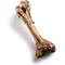Show in main carousel: Jack & Pup Mammoth Femur Bone Dog Treat, 1 count slide 3 of 9