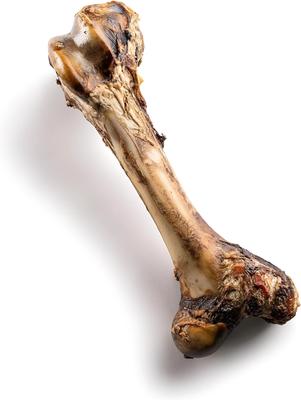 Show full view: Jack & Pup Mammoth Femur Bone Dog Treat, 1 count slide 3 of 9