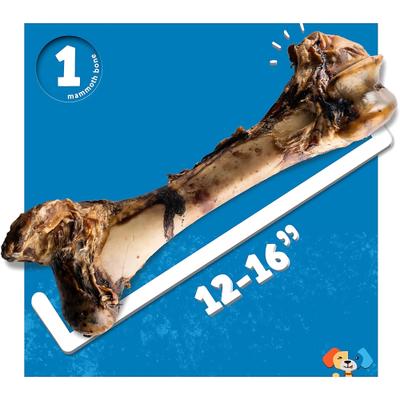 Show full view: Jack & Pup Mammoth Femur Bone Dog Treat, 1 count slide 5 of 9
