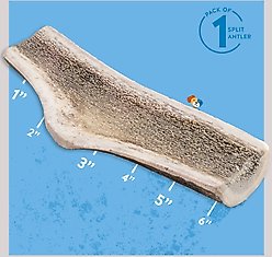 Jack & Pup Medium Split Elk Antler Extra Thick Dog Chew Treats, 6-in slide 2 of 6