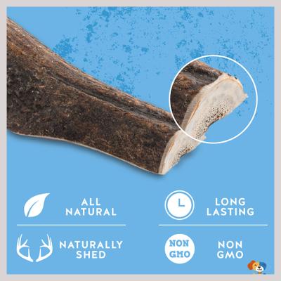 Show full view: Jack & Pup Medium Split Elk Antler Extra Thick Dog Chew Treats, 6-in slide 4 of 7