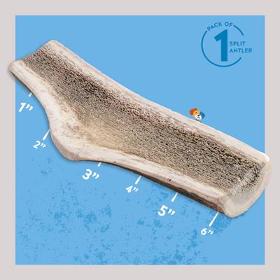 Show full view: Jack & Pup Medium Split Elk Antler Thick Dog Chew Treats, 6-in slide 3 of 7