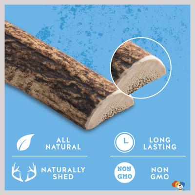 Show full view: Jack & Pup Medium Split Elk Antler Thick Dog Chew Treats, 6-in slide 4 of 7