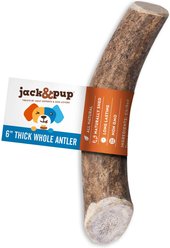 Jack & Pup Medium Whole Elk Antler Extra Thick Dog Chew Treats, 6-in