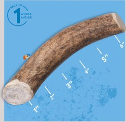 Jack & Pup Medium Whole Elk Antler Extra Thick Dog Chew Treats, 6-in slide 2 of 6