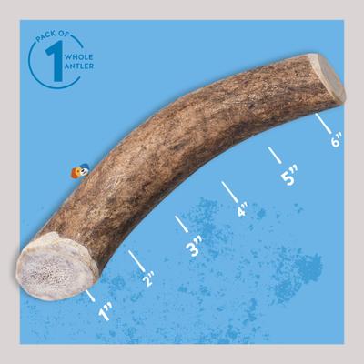 Show full view: Jack & Pup Medium Whole Elk Antler Extra Thick Dog Chew Treats, 6-in slide 3 of 8