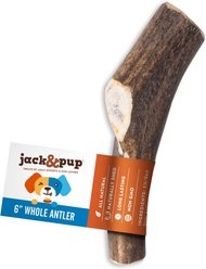 Jack & Pup Medium Whole Elk Antler Thick Dog Chew Treats, 6-in