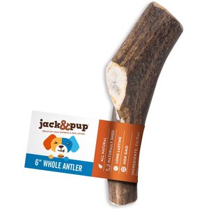 Jack & Pup Medium Whole Elk Antler Thick Dog Chew Treats, 6-in