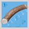 Show in main carousel: Jack & Pup Medium Whole Elk Antler Thick Dog Chew Treats, 6-in slide 3 of 7