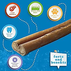 Jack & Pup Odor Free 12" Thick Beef Bully Sticks, 1 count slide 2 of 5