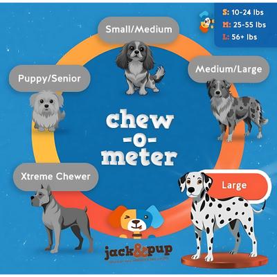 Show full view: Jack & Pup Odor Free 6" Braided Beef Bully Stick, 1 count slide 6 of 8