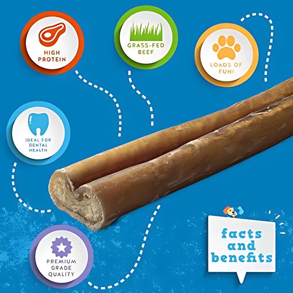 Show full view: Jack & Pup Odor Free 6" Jumbo Beef Bully Stick, 1 count slide 3 of 8