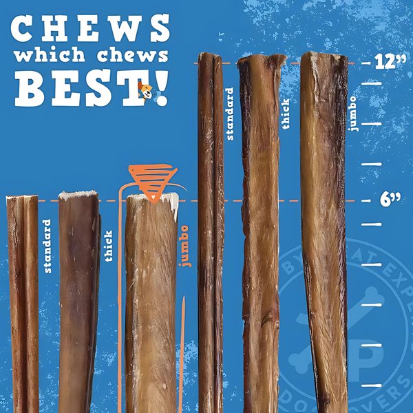 Show full view: Jack & Pup Odor Free 6" Jumbo Beef Bully Stick, 1 count slide 4 of 8