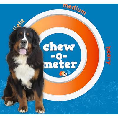 Show full view: Jack & Pup Odor Free 6" Jumbo Beef Bully Stick, 1 count slide 6 of 8