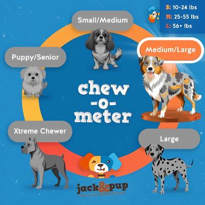 Show full view: Jack & Pup Odor Free 6" Natural Beef Bully Stick, 1-lb bag slide 5 of 7