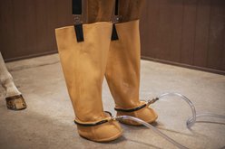 Jacks Whirlpool Boots Therapeutic Horse Boots slide 1 of 5