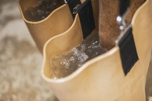 Show full view: Jacks Whirlpool Boots Therapeutic Horse Boots slide 2 of 5