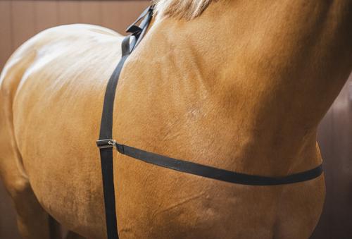 Show full view: Jacks Whirlpool Boots Therapeutic Horse Boots slide 3 of 5