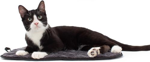 Show full view: Jackson Galaxy Basic Cat Mat Bed, Charcoal slide 2 of 5