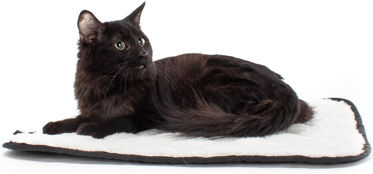 JACKSON GALAXY Basic Cat Mat Bed, Cream - Chewy.com