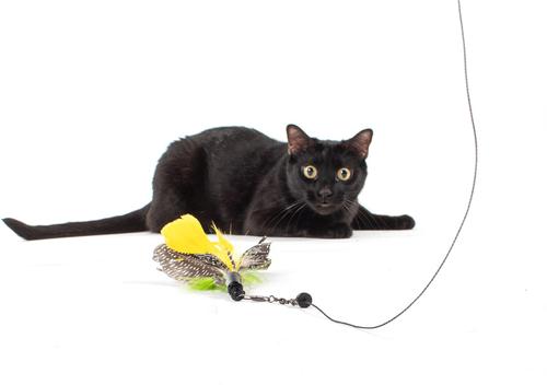 Show full view: Jackson Galaxy Gotcha! Feather Wand Attachment Cat Toy, Green slide 4 of 6