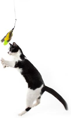 Show full view: Jackson Galaxy Gotcha! Wand Cat Toy, Blue slide 5 of 8