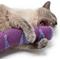 Show in main carousel: Jackson Galaxy Kangaroo Kicker Plush Cat Toy, Purple slide 5 of 6