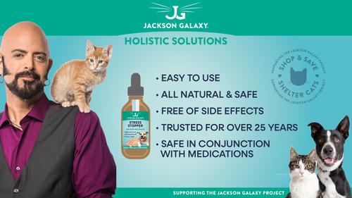 Show full view: Jackson Galaxy Solutions Solutions Stress Stopper Aromatherapy for Dogs & Cats, 2-oz slide 4 of 10