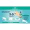 Show in main carousel: Jackson Galaxy Solutions Solutions Ultimate Peacemaker Aromatherapy Set for Dogs & Cats, 2-oz slide 8 of 12