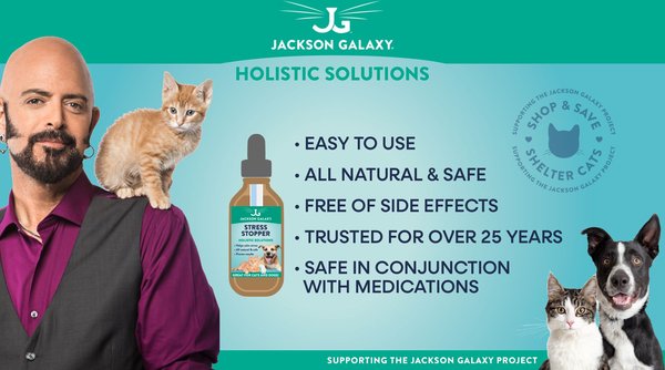 Jackson Galaxy Solutions Urinary Support Pet Solution, 2-fl oz bottle