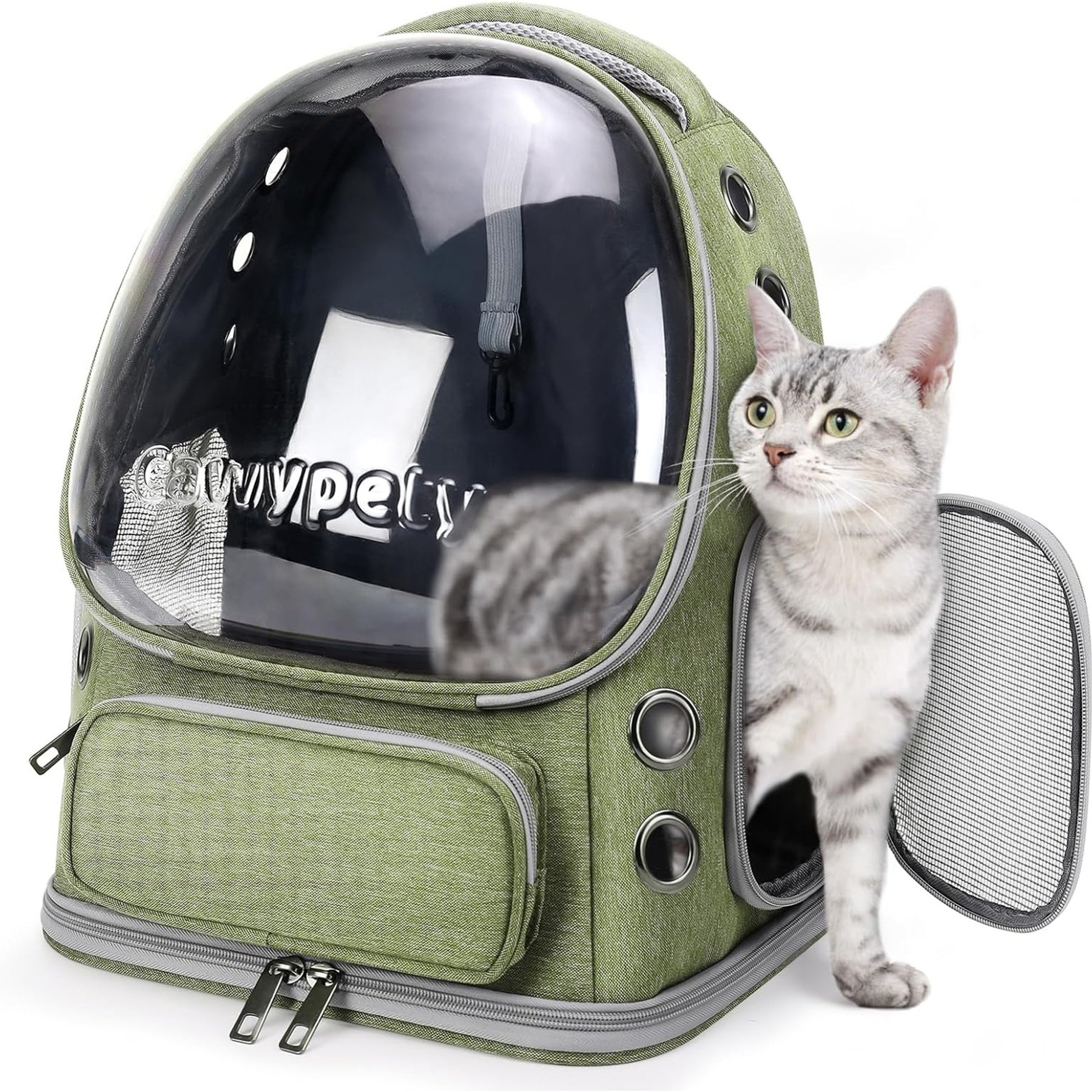 jansno Backpack Breathable Transparent & Foldable Dog & Cat Carrier, 13.5-in, Green