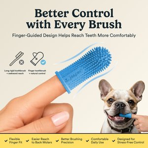 Jasper 360 Dog Finger Toothbrush & Storage Case, 2 count, Blue