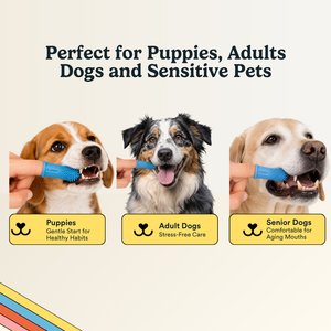 Jasper 360 Dog Finger Toothbrush & Storage Case, 2 count, Blue