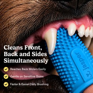 Jasper 360 Dog Finger Toothbrush & Storage Case, 2 count, Blue