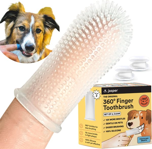 Tooth Brush World's Most Effective Dog Toothbrush Reviews