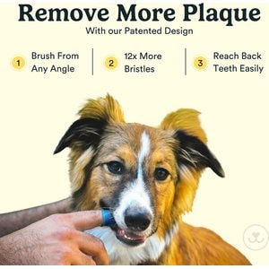 Jasper 360 Dog Finger Toothbrush & Storage Case, 2 count, Clear
