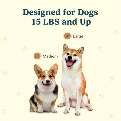 Show full view: Jasper Macrobrush 360 Medium & Large Dog Toothbrush Replacement Heads, 4 count slide 4 of 7