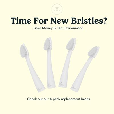 Show full view: Jasper Microbrush Cat & Small Dog Toothbrush Handle + 2 Brush Heads slide 7 of 9