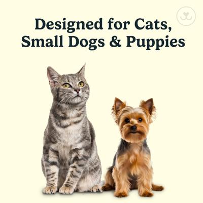 Show full view: Jasper Microbrush Cat & Small Dog Toothbrush Handle + 2 Brush Heads slide 6 of 9