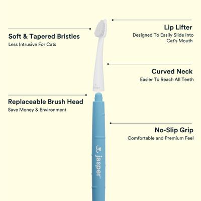 Show full view: Jasper Microbrush Cat & Small Dog Toothbrush Handle + 2 Brush Heads slide 3 of 9