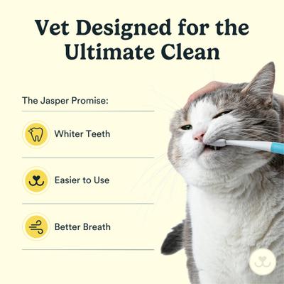 Show full view: Jasper Microbrush Cat & Small Dog Toothbrush Handle + 2 Brush Heads slide 4 of 9